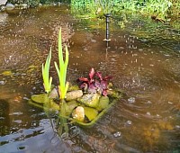 Teich mit Springbrunnen