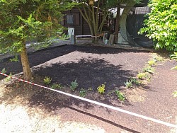 Vorgarten
